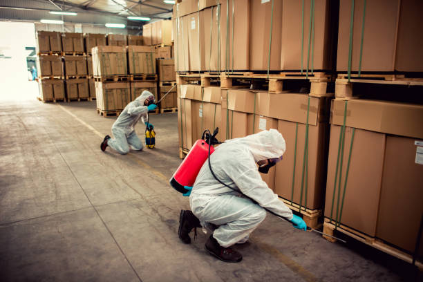 Best Rat Extermination Near Me  in Blaine, WA