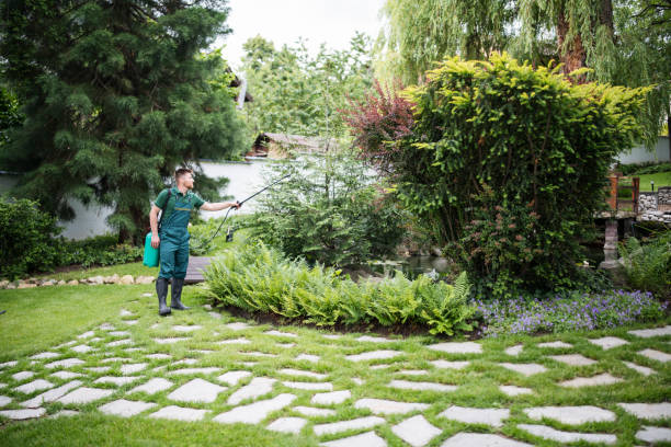 Best Affordable Exterminators  in Blaine, WA