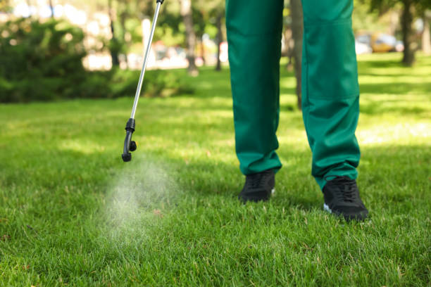 Best Local Pest Control Services  in Blaine, WA