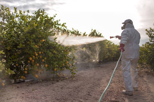 Best Mosquito Control Services  in Blaine, WA