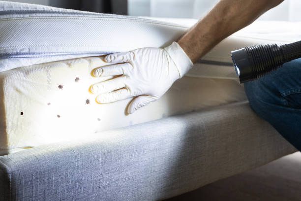 Best Pest Removal Services  in Blaine, WA